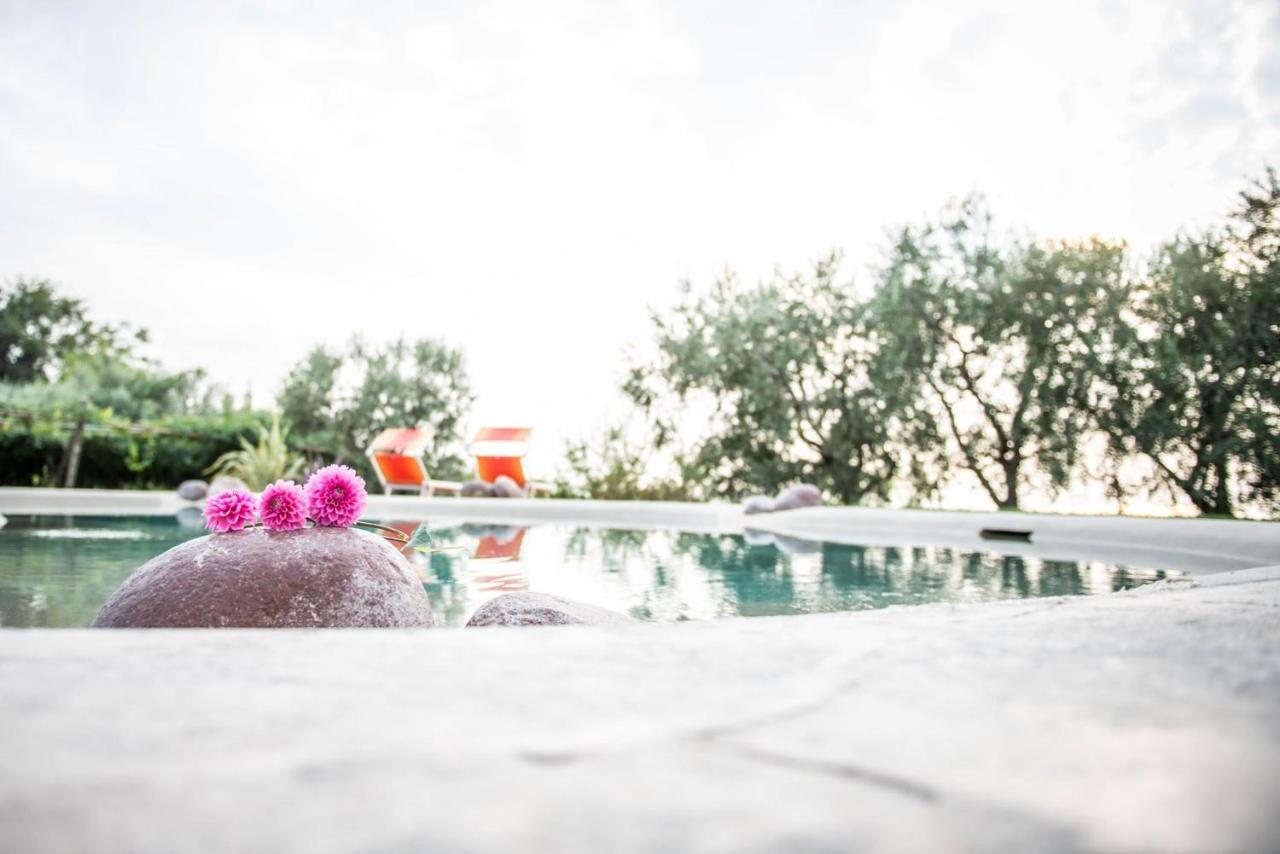 Agriturismo Il Grappolo Lazise Kültér fotó